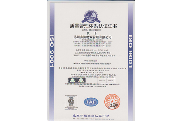 ISO9001质量体系中文
